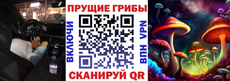 Галлюциногенные грибы Cubensis  дарнет шоп  Зея 