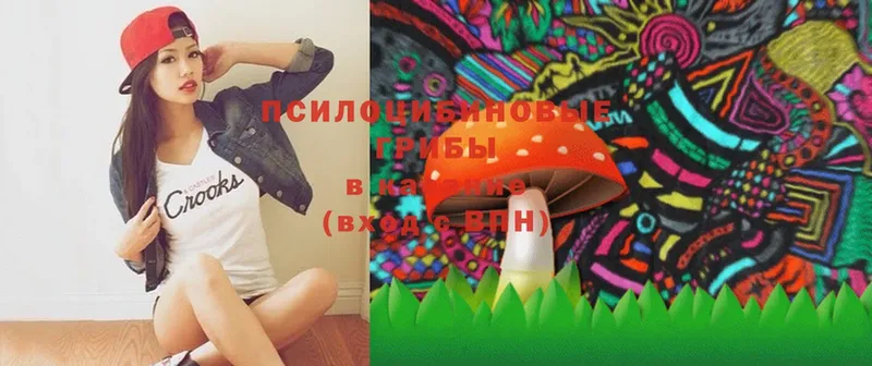 Галлюциногенные грибы Psilocybe  Зея 