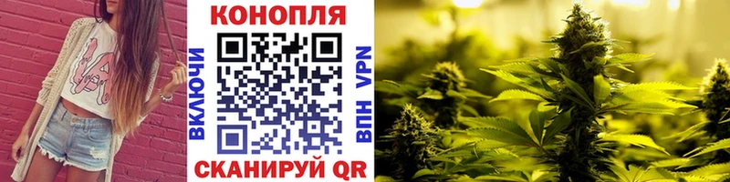 Конопля ГИДРОПОН Зея