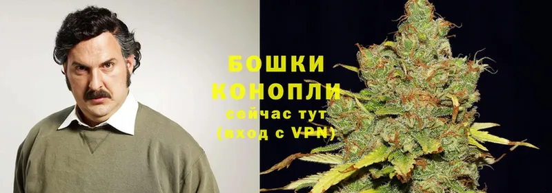 Конопля SATIVA & INDICA  Зея 